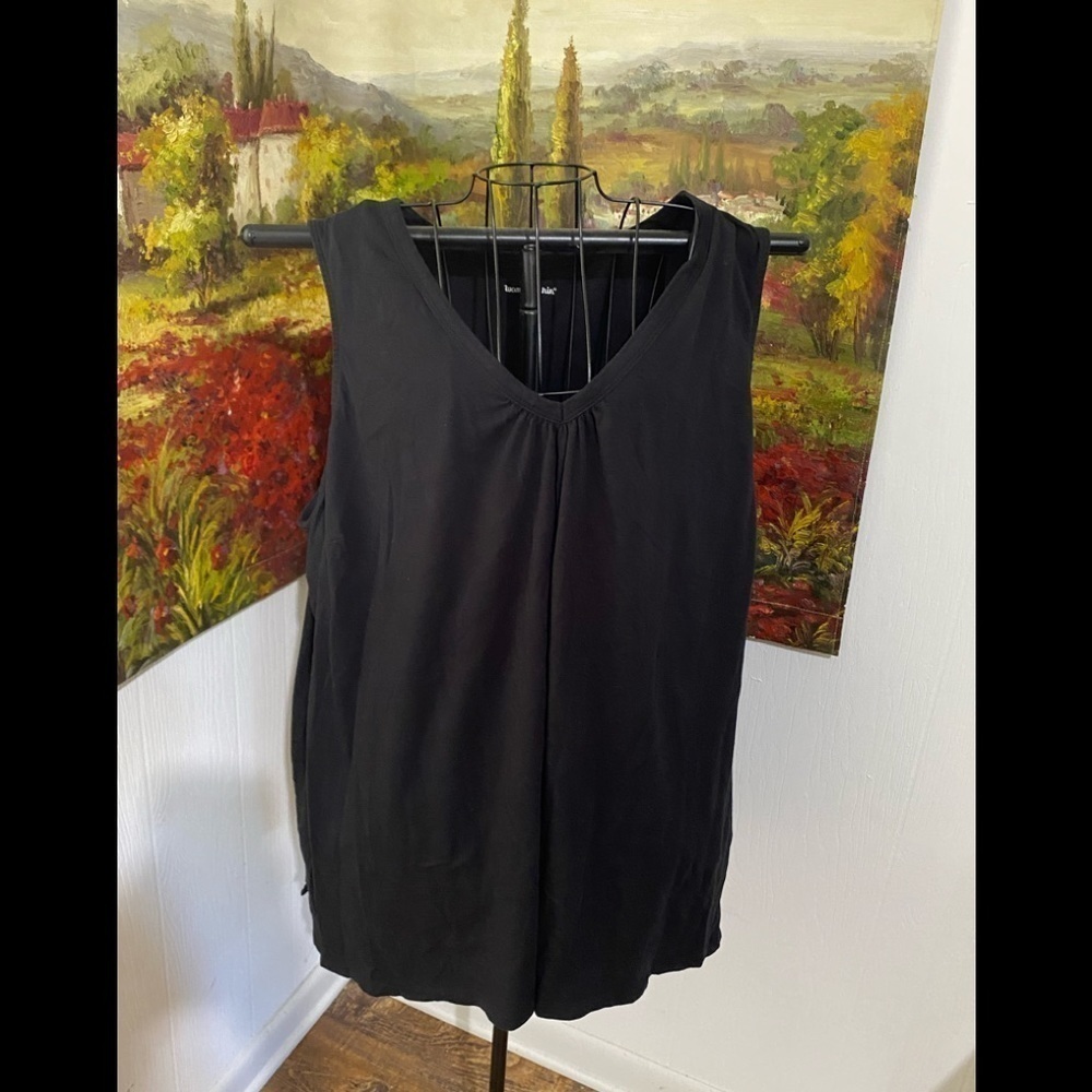 (P4-1)‎ Woman Within size 4X